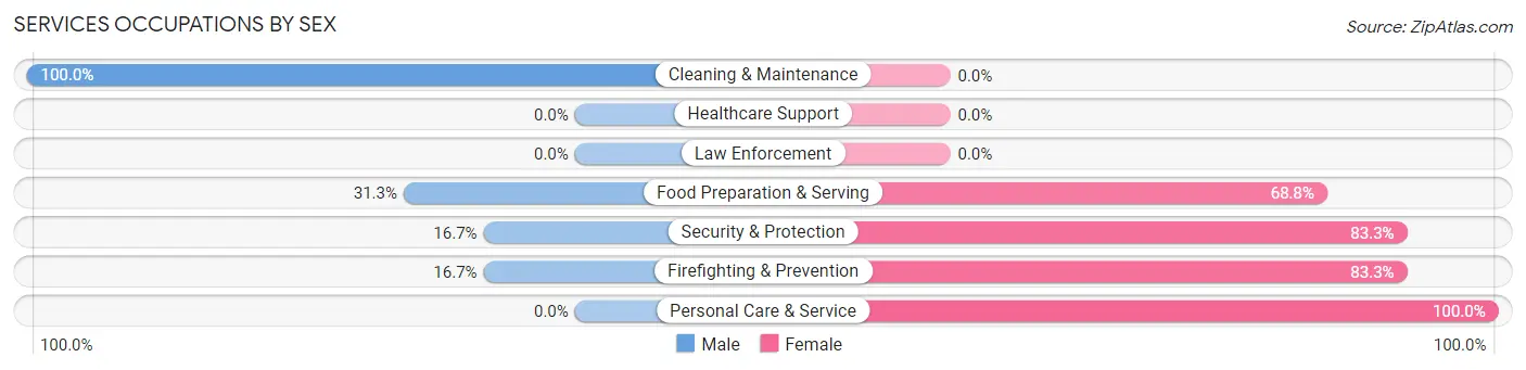 Services Occupations by Sex in Edgeworth borough