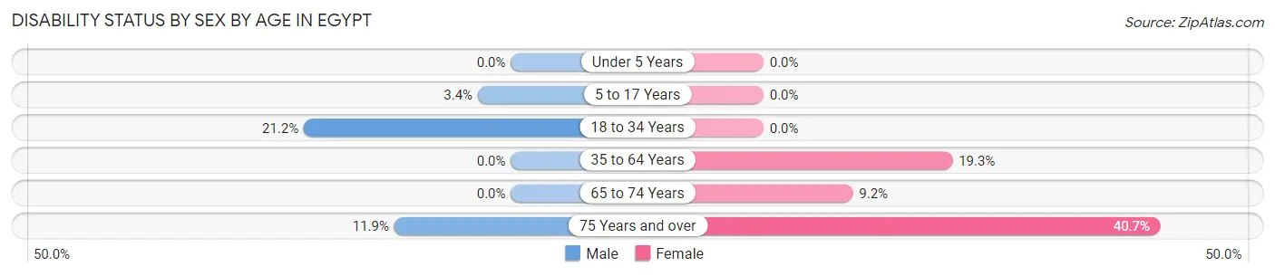 Disability Status by Sex by Age in Egypt