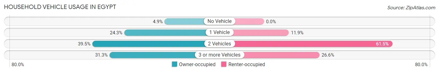 Household Vehicle Usage in Egypt