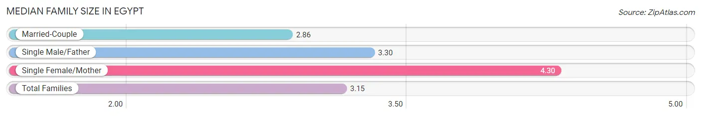 Median Family Size in Egypt