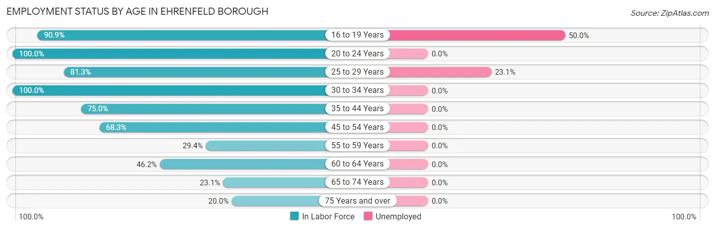Employment Status by Age in Ehrenfeld borough