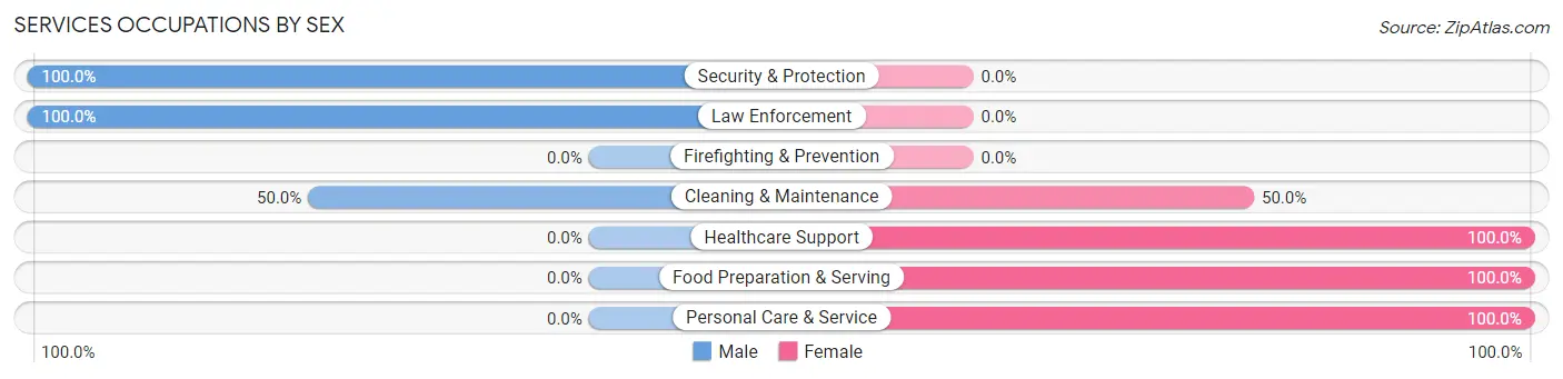 Services Occupations by Sex in Ehrenfeld borough