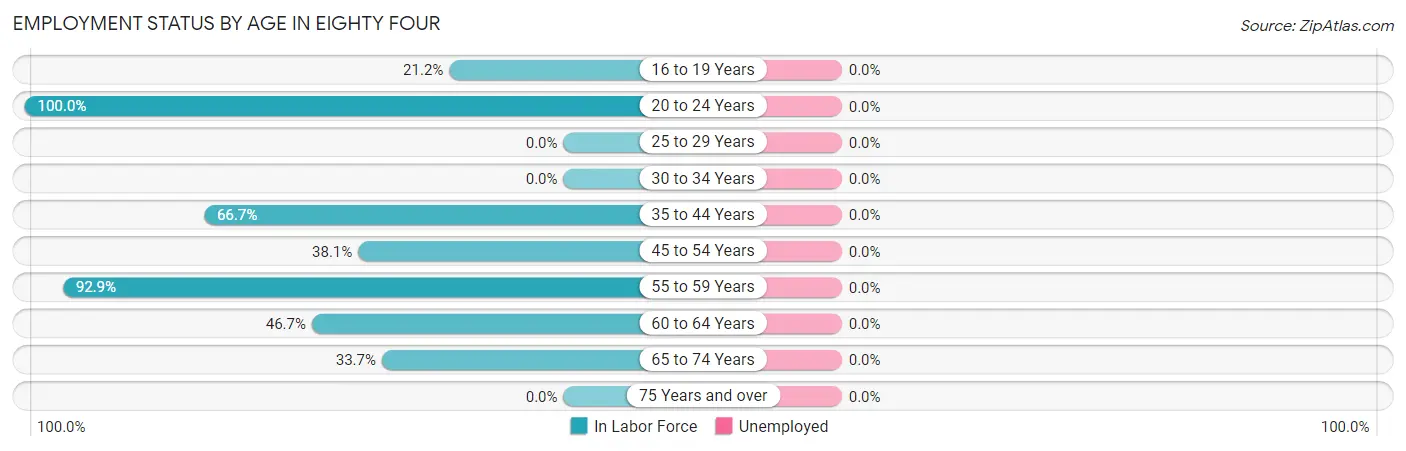 Employment Status by Age in Eighty Four