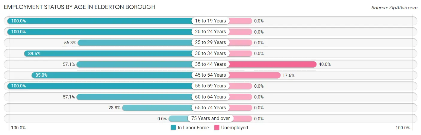 Employment Status by Age in Elderton borough