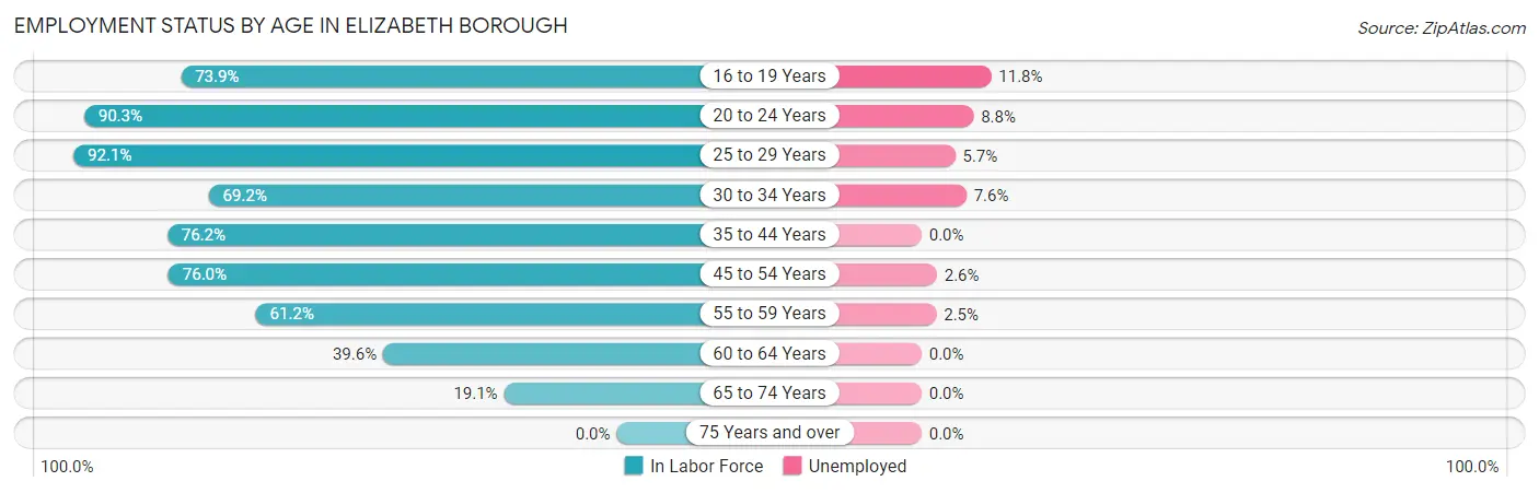 Employment Status by Age in Elizabeth borough