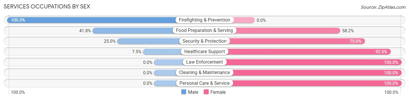 Services Occupations by Sex in Elizabeth borough