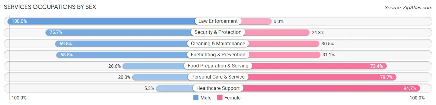 Services Occupations by Sex in Elizabethtown borough