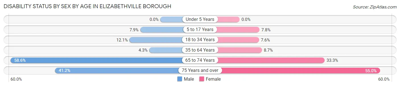Disability Status by Sex by Age in Elizabethville borough