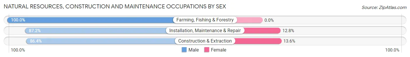 Natural Resources, Construction and Maintenance Occupations by Sex in Ellwood City borough