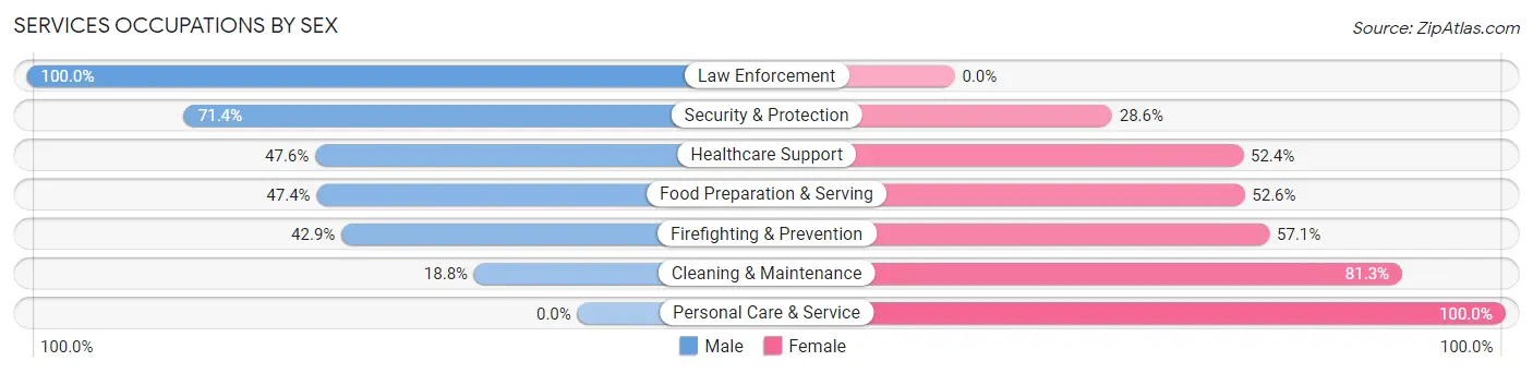 Services Occupations by Sex in Elverson borough