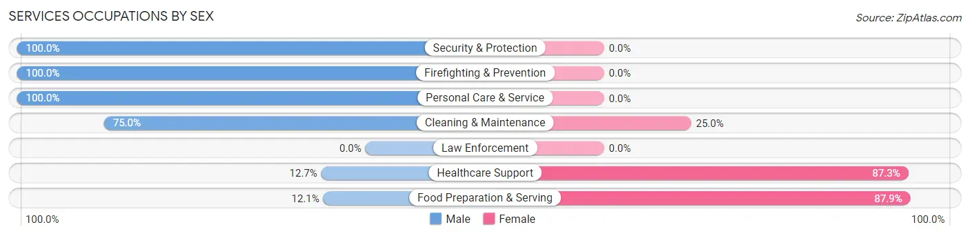 Services Occupations by Sex in Emigsville