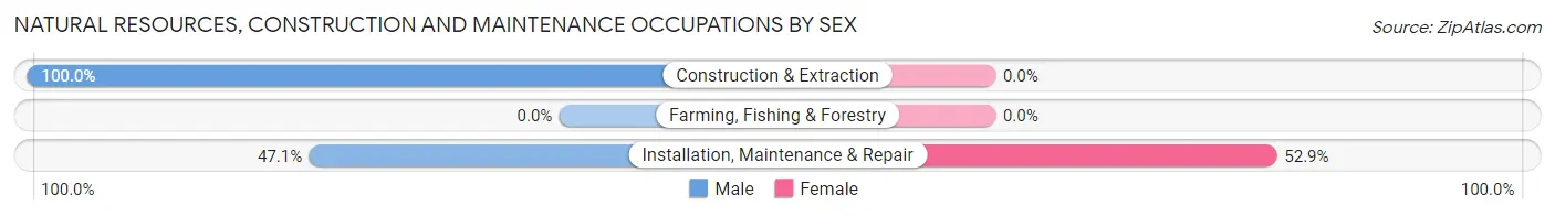 Natural Resources, Construction and Maintenance Occupations by Sex in Emsworth borough