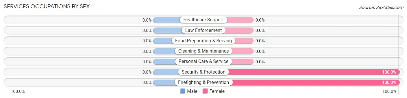 Services Occupations by Sex in Englewood