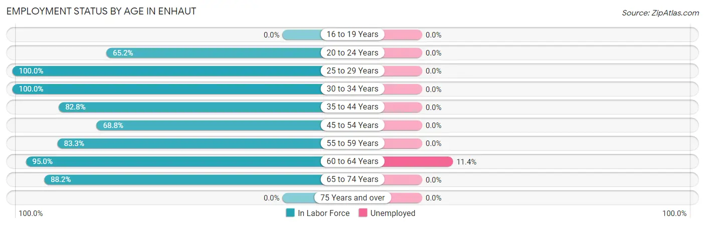 Employment Status by Age in Enhaut