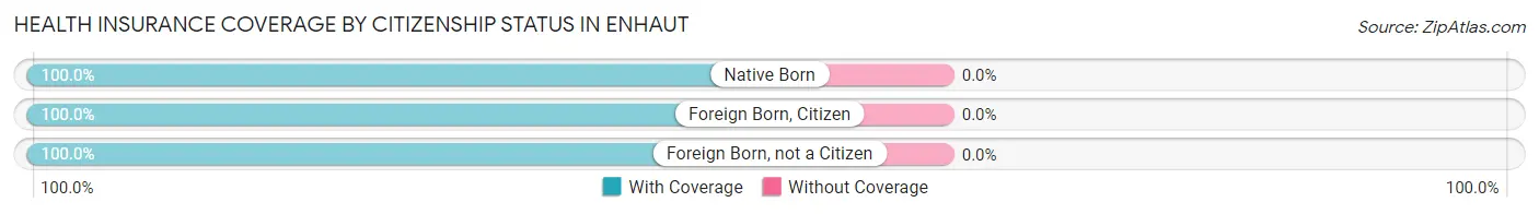 Health Insurance Coverage by Citizenship Status in Enhaut