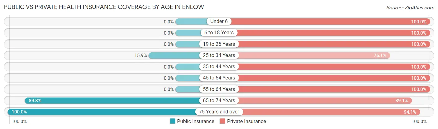 Public vs Private Health Insurance Coverage by Age in Enlow