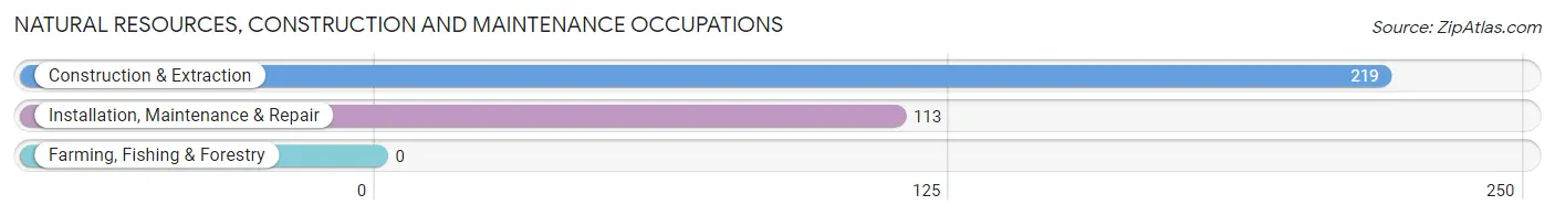 Natural Resources, Construction and Maintenance Occupations in Enola