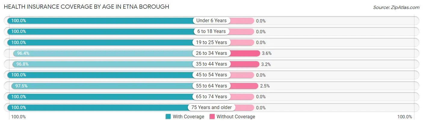 Health Insurance Coverage by Age in Etna borough