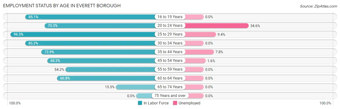 Employment Status by Age in Everett borough