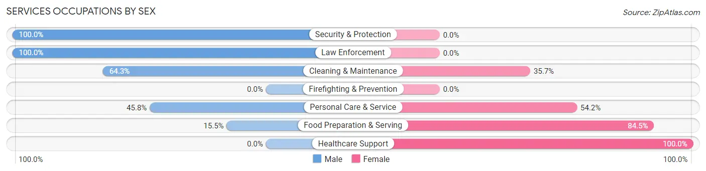 Services Occupations by Sex in Everett borough
