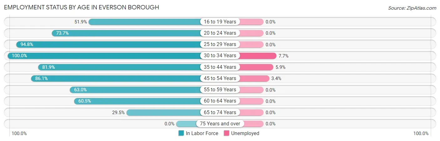 Employment Status by Age in Everson borough
