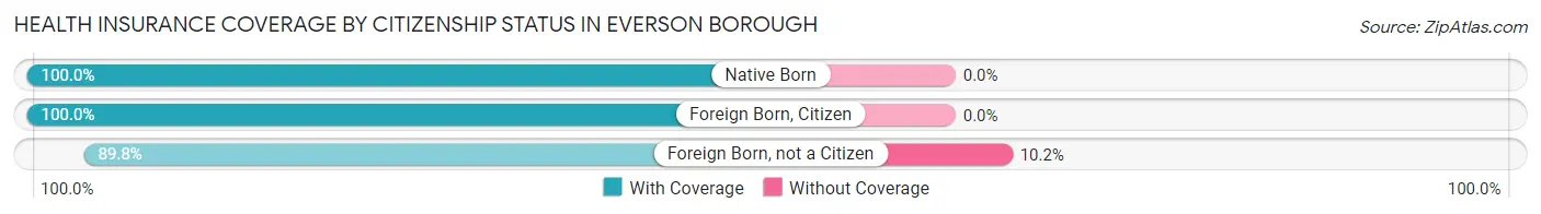 Health Insurance Coverage by Citizenship Status in Everson borough
