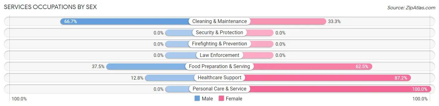 Services Occupations by Sex in Everson borough