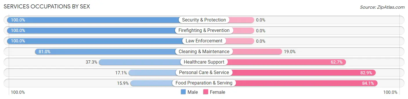 Services Occupations by Sex in Exeter borough