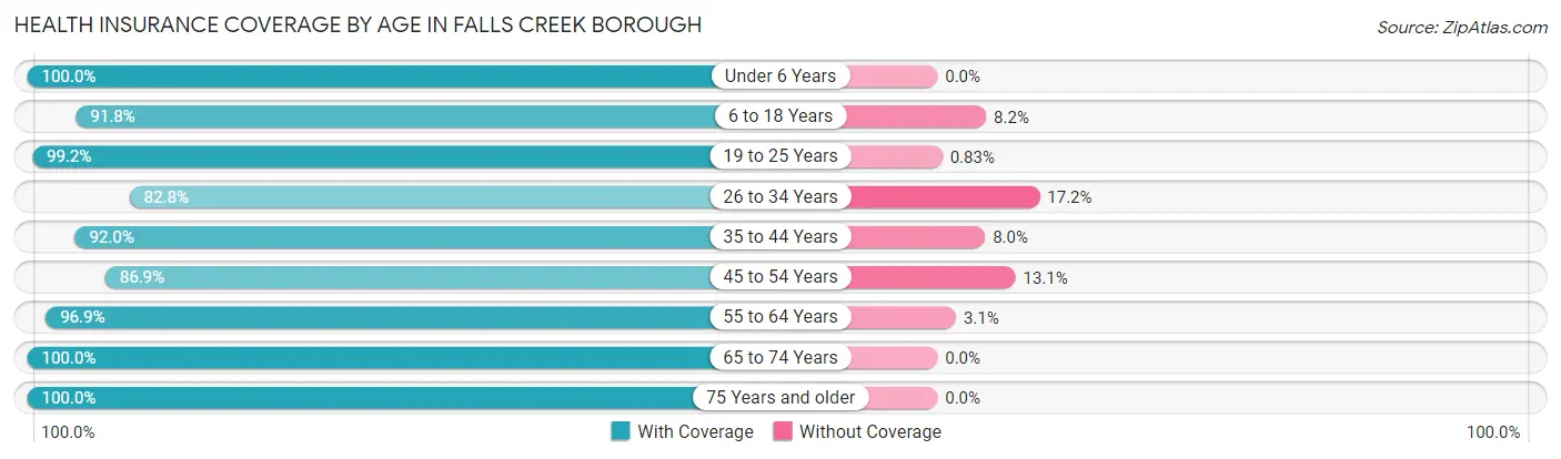 Health Insurance Coverage by Age in Falls Creek borough