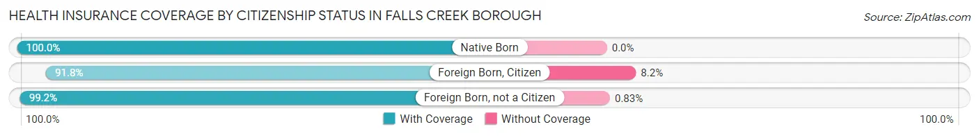 Health Insurance Coverage by Citizenship Status in Falls Creek borough