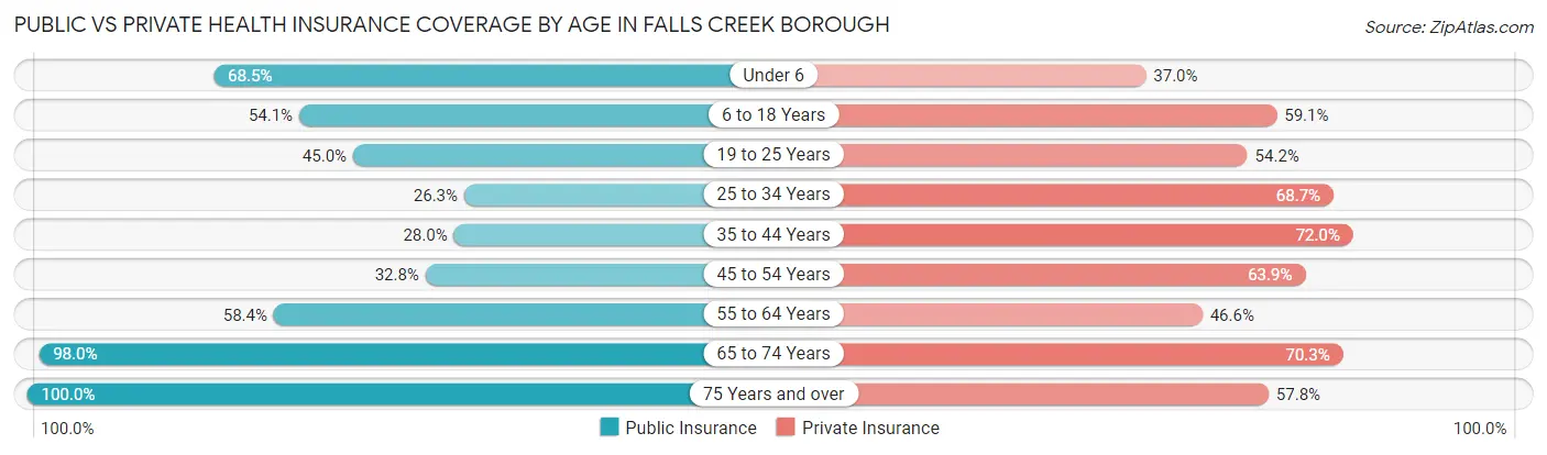 Public vs Private Health Insurance Coverage by Age in Falls Creek borough