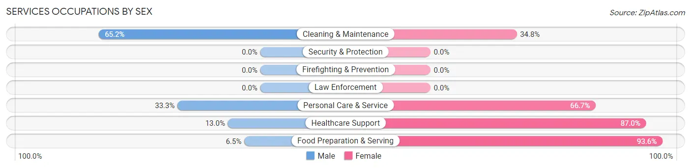 Services Occupations by Sex in Falls Creek borough