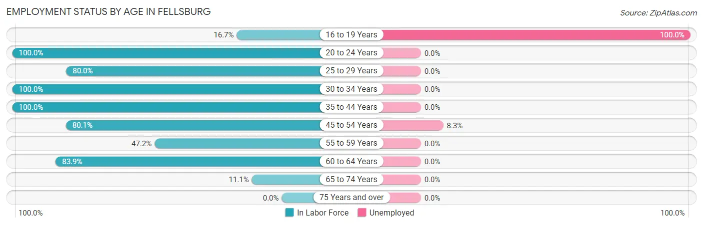Employment Status by Age in Fellsburg