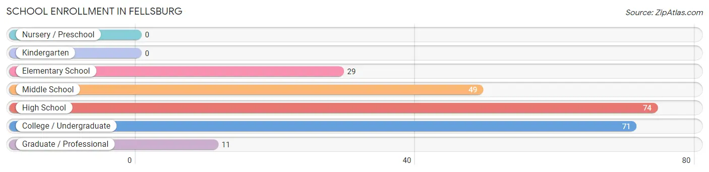 School Enrollment in Fellsburg