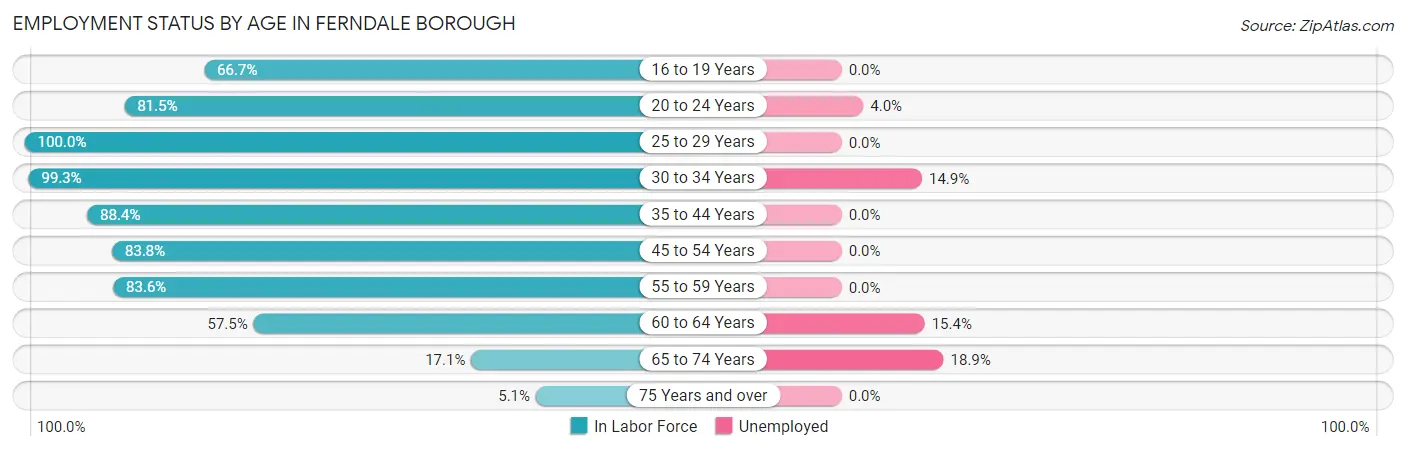 Employment Status by Age in Ferndale borough