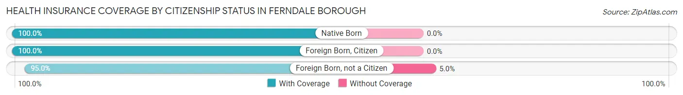 Health Insurance Coverage by Citizenship Status in Ferndale borough