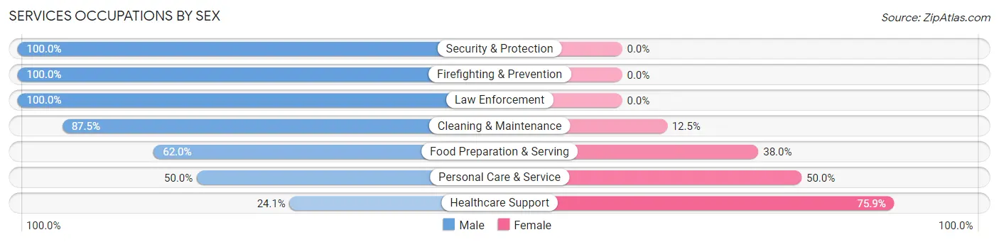 Services Occupations by Sex in Ferndale borough