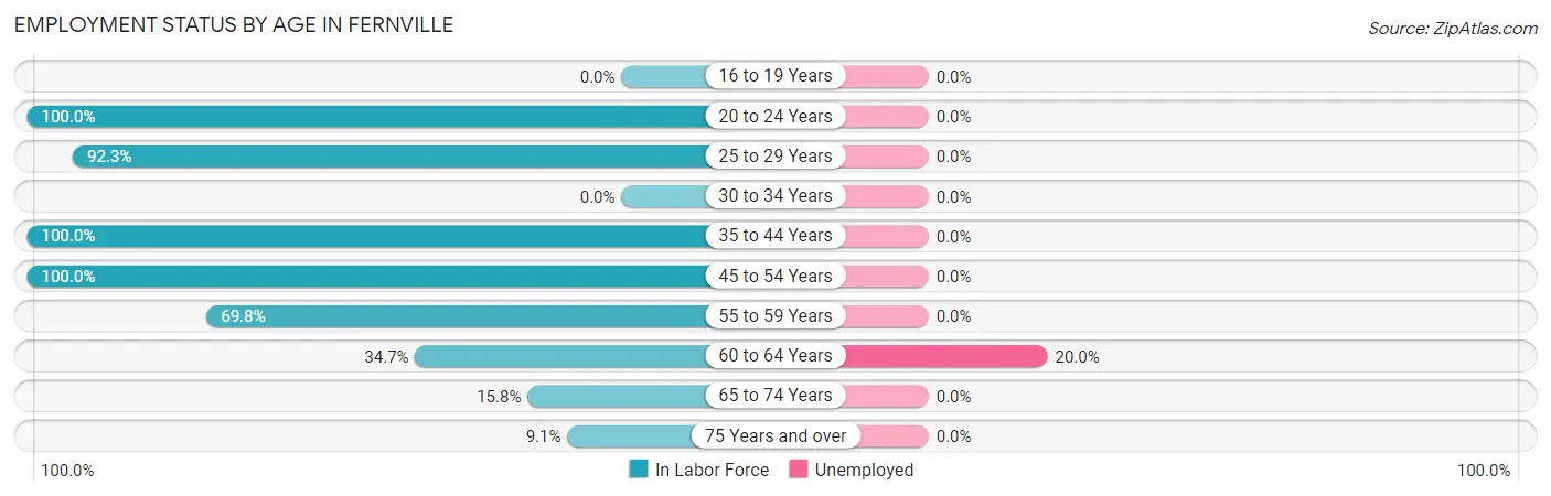 Employment Status by Age in Fernville