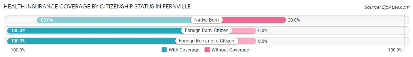 Health Insurance Coverage by Citizenship Status in Fernville