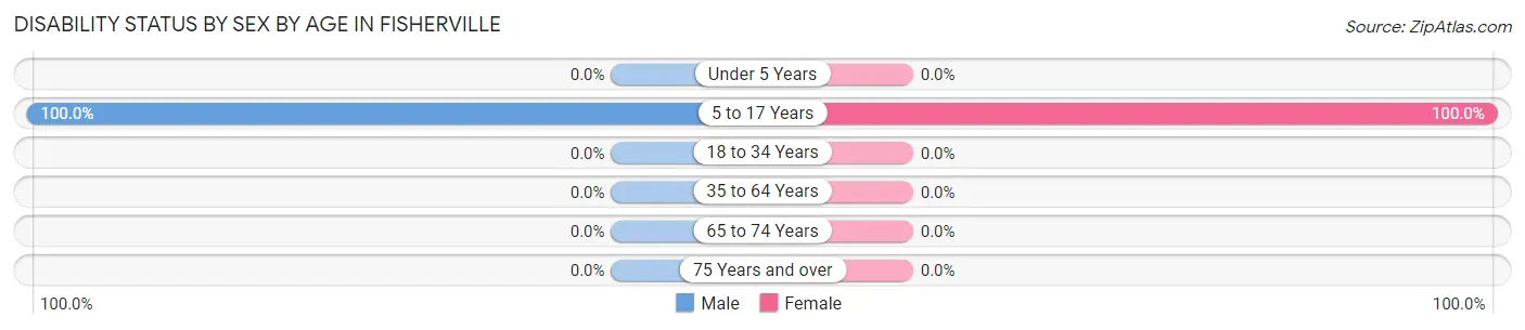 Disability Status by Sex by Age in Fisherville