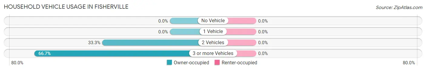 Household Vehicle Usage in Fisherville
