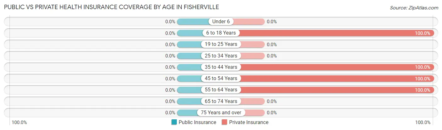 Public vs Private Health Insurance Coverage by Age in Fisherville