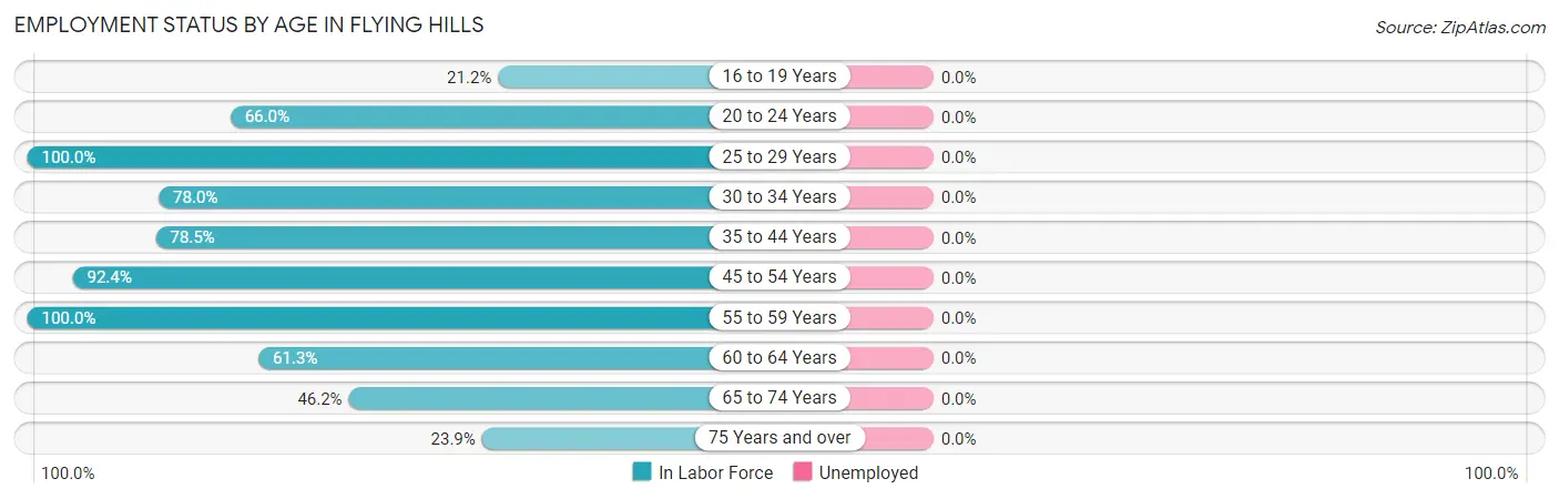 Employment Status by Age in Flying Hills