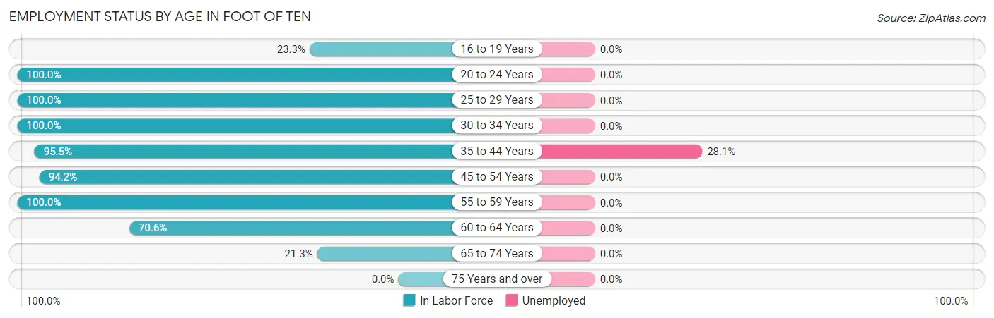 Employment Status by Age in Foot of Ten