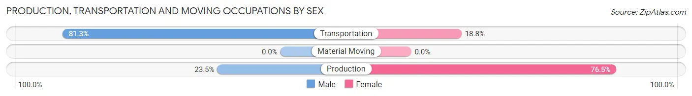 Production, Transportation and Moving Occupations by Sex in Foot of Ten