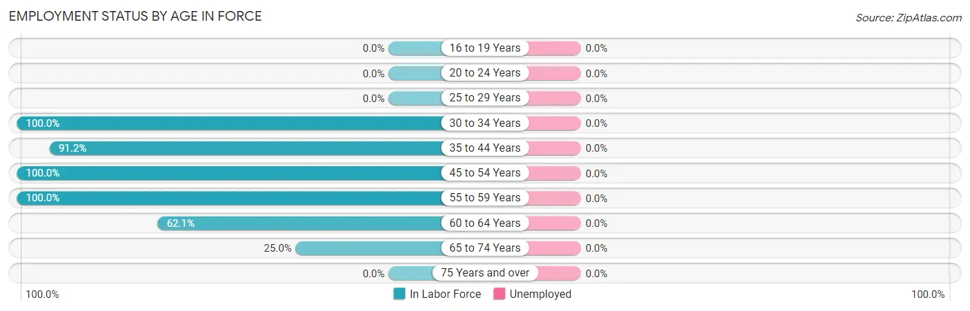 Employment Status by Age in Force