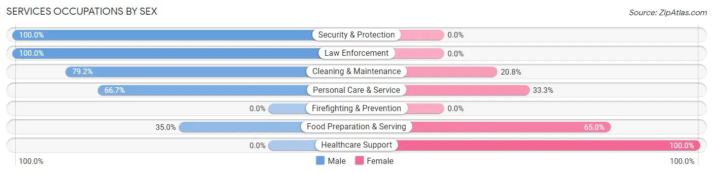Services Occupations by Sex in Forest City borough