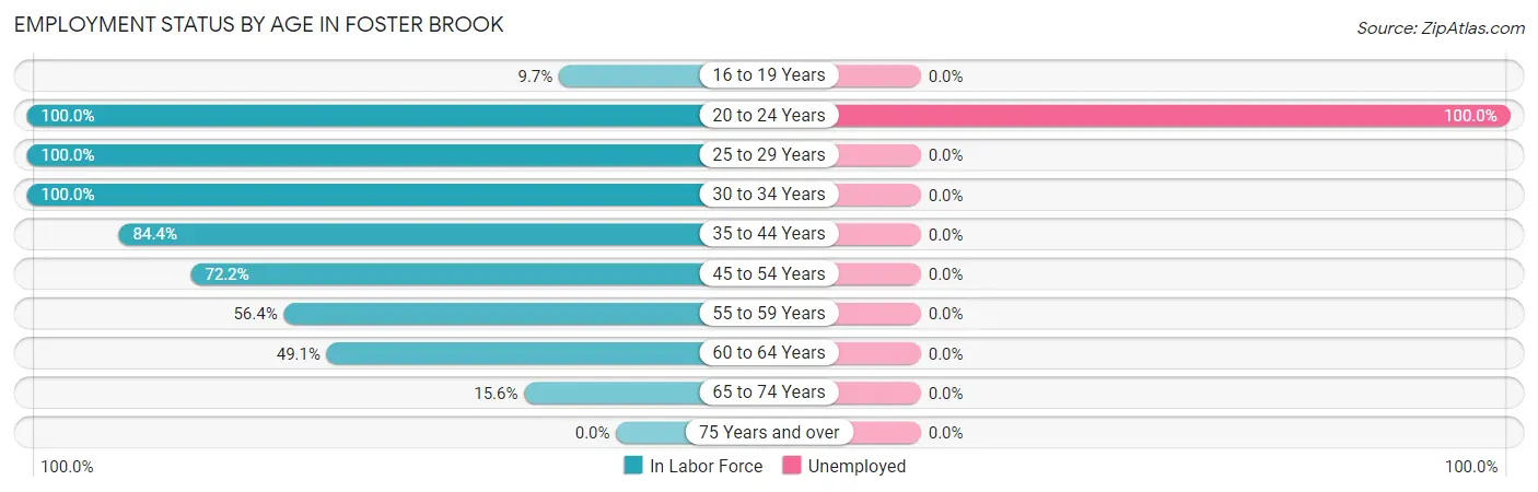 Employment Status by Age in Foster Brook