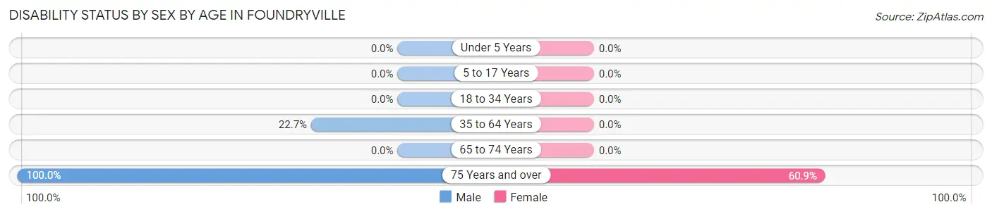 Disability Status by Sex by Age in Foundryville
