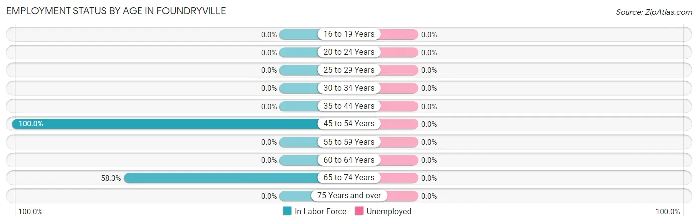 Employment Status by Age in Foundryville